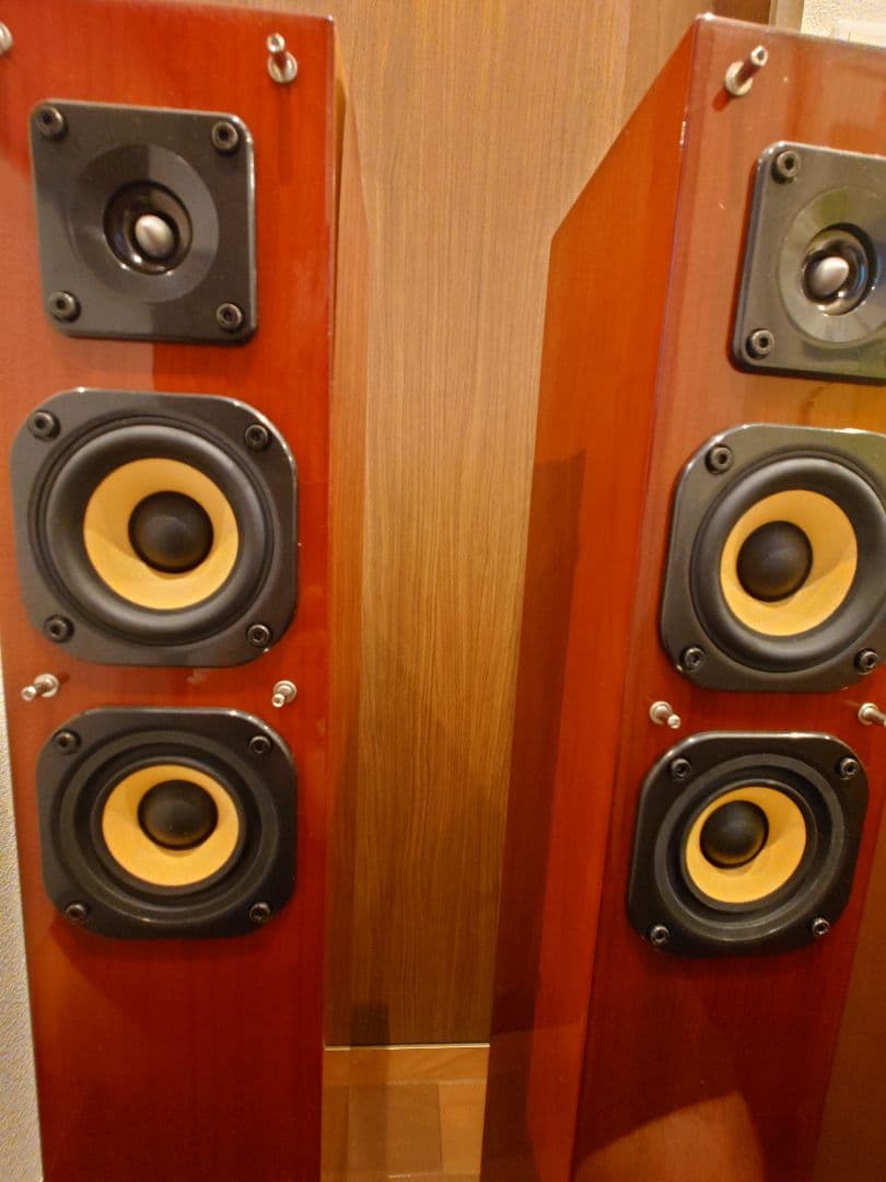 剥がれ シミ DENON デノン SC-T11XG トールボーイスピーカー - メルカリ