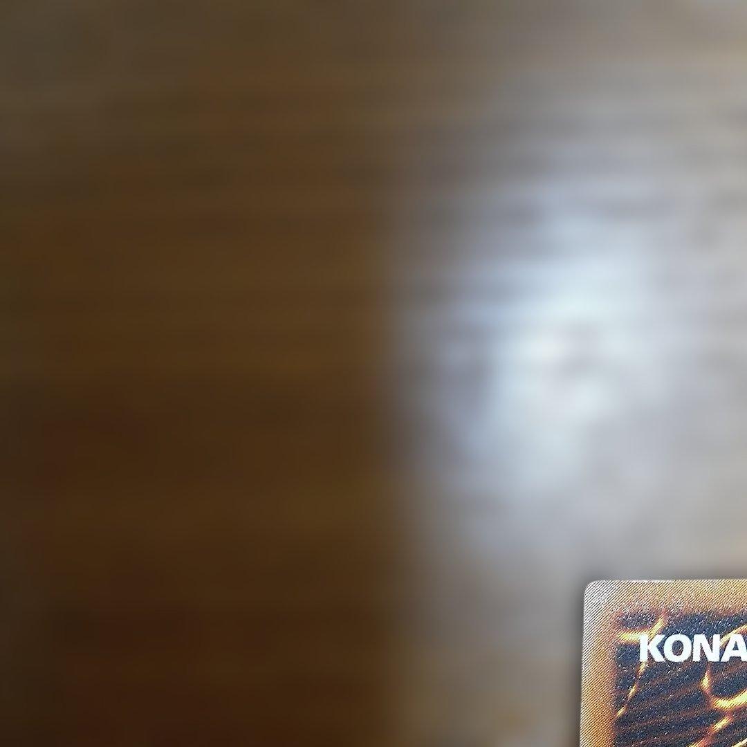 遊戯王　ブラックデーモンズドラゴン　レリーフ