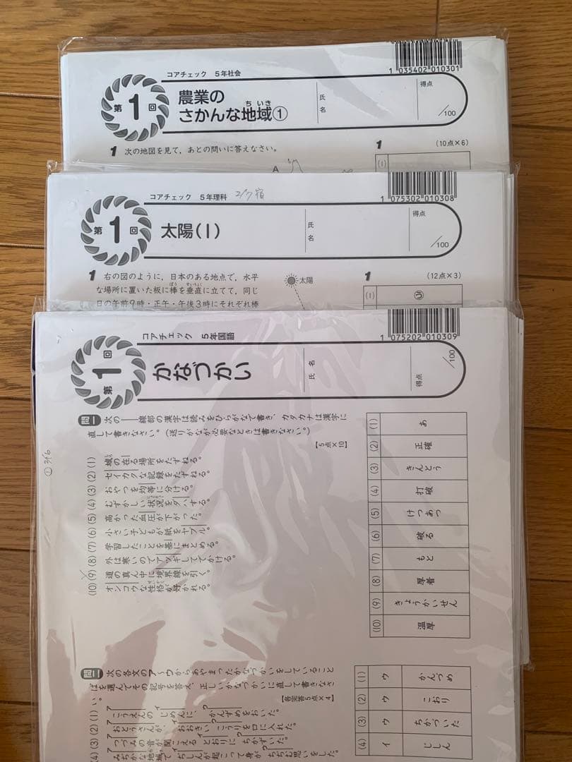 コアマスター5年　全科目1〜48、夏、冬