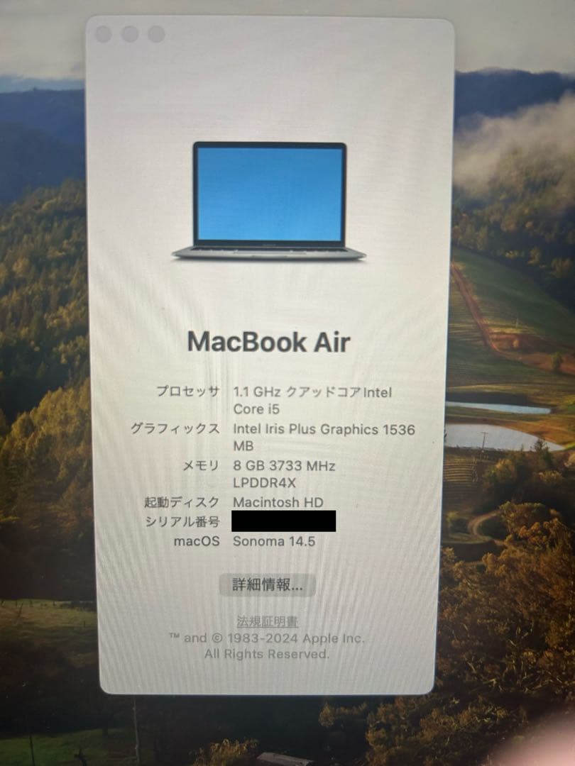 MacBook本体 MacBook Air 1.1GHz i5 8GB
