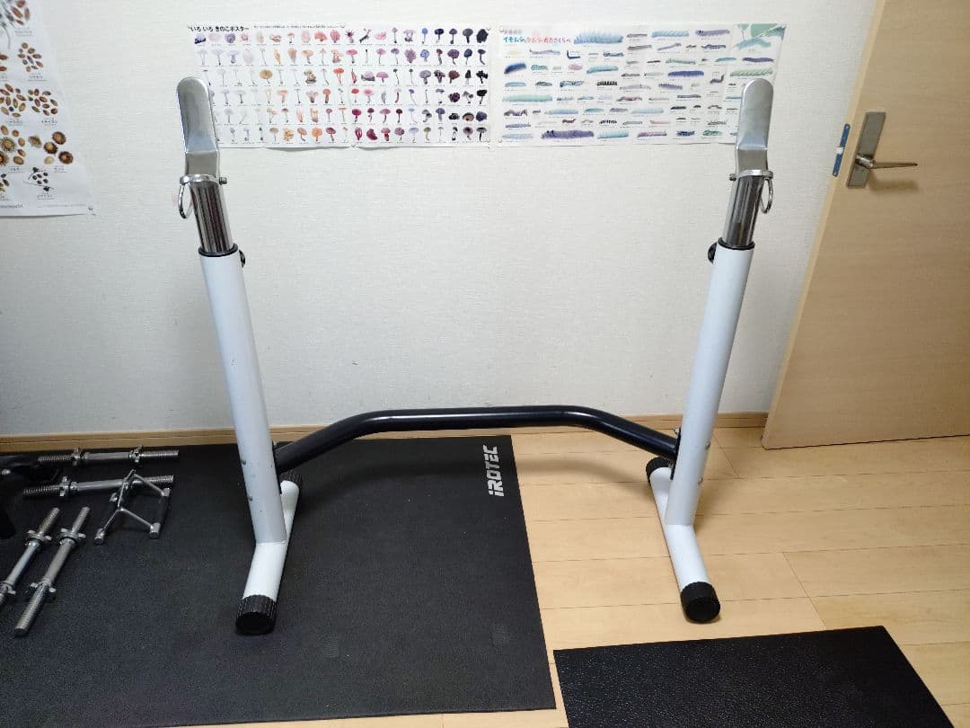 IROTEC アイロテック ダンベルプレート シャフト ベンチ 懸垂スタンド