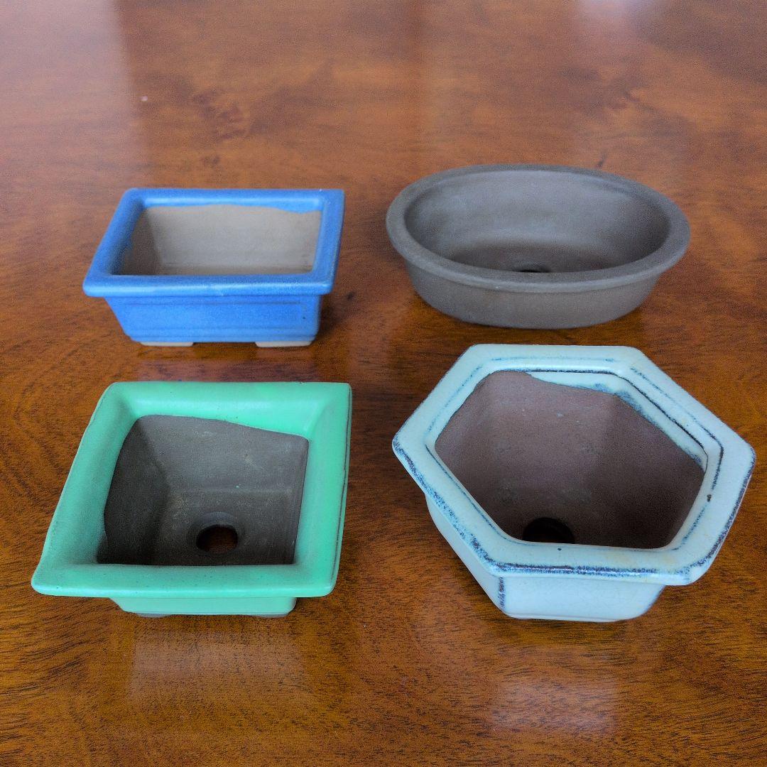 盆栽 ミニ盆栽 山野草 多肉植物 鉢 豆鉢 4個組 - メルカリ