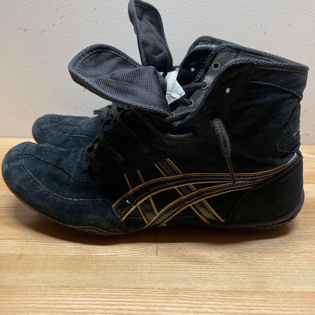 世界J・ウェルター級タイトルマッチ浜田剛史 vs レネ・アルレトンド パンフ