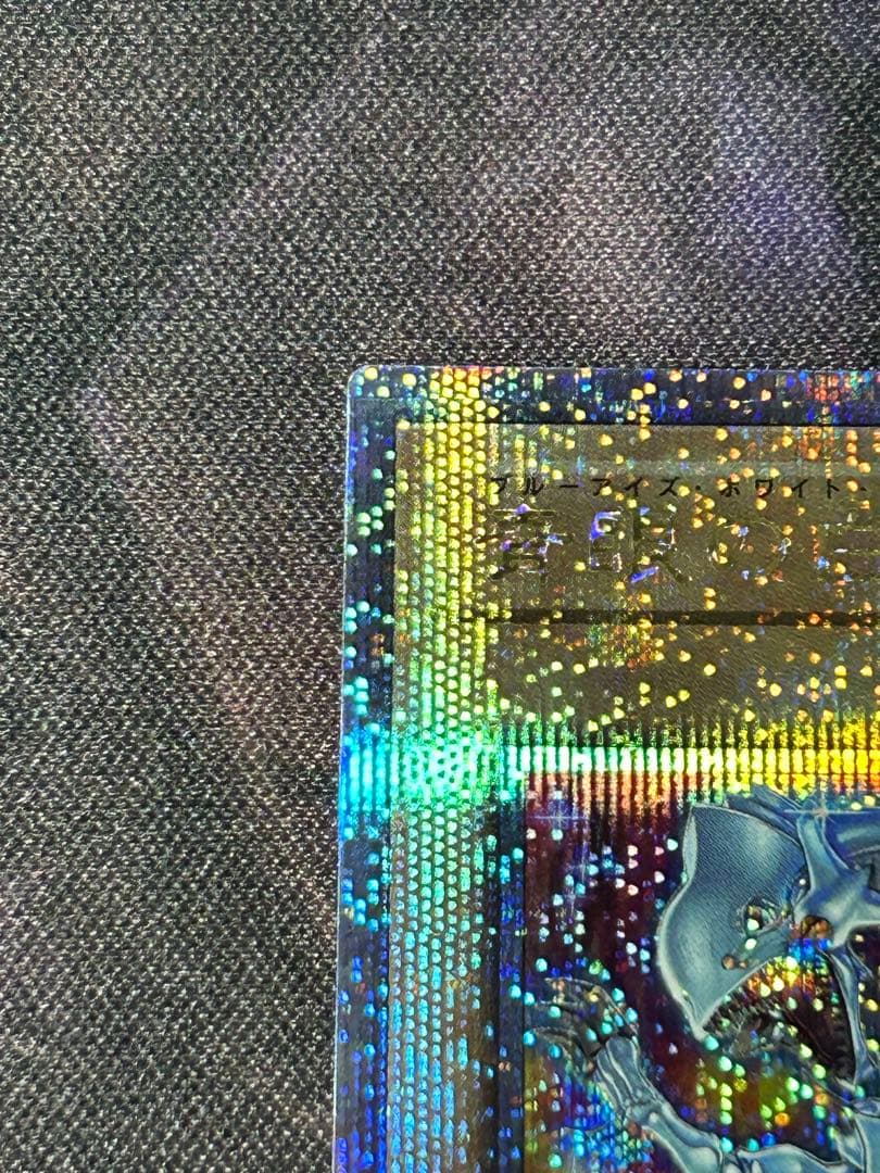 青眼の白龍 新規絵 25thシークレット 1枚