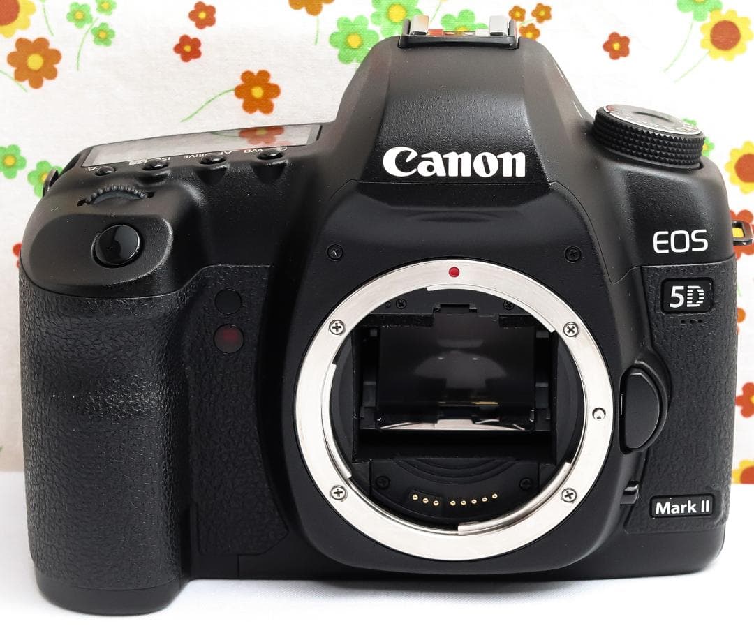 Canon 5D MarkII☆ダブルレンズ！☆高性能フルサイズ☆スマホに転送