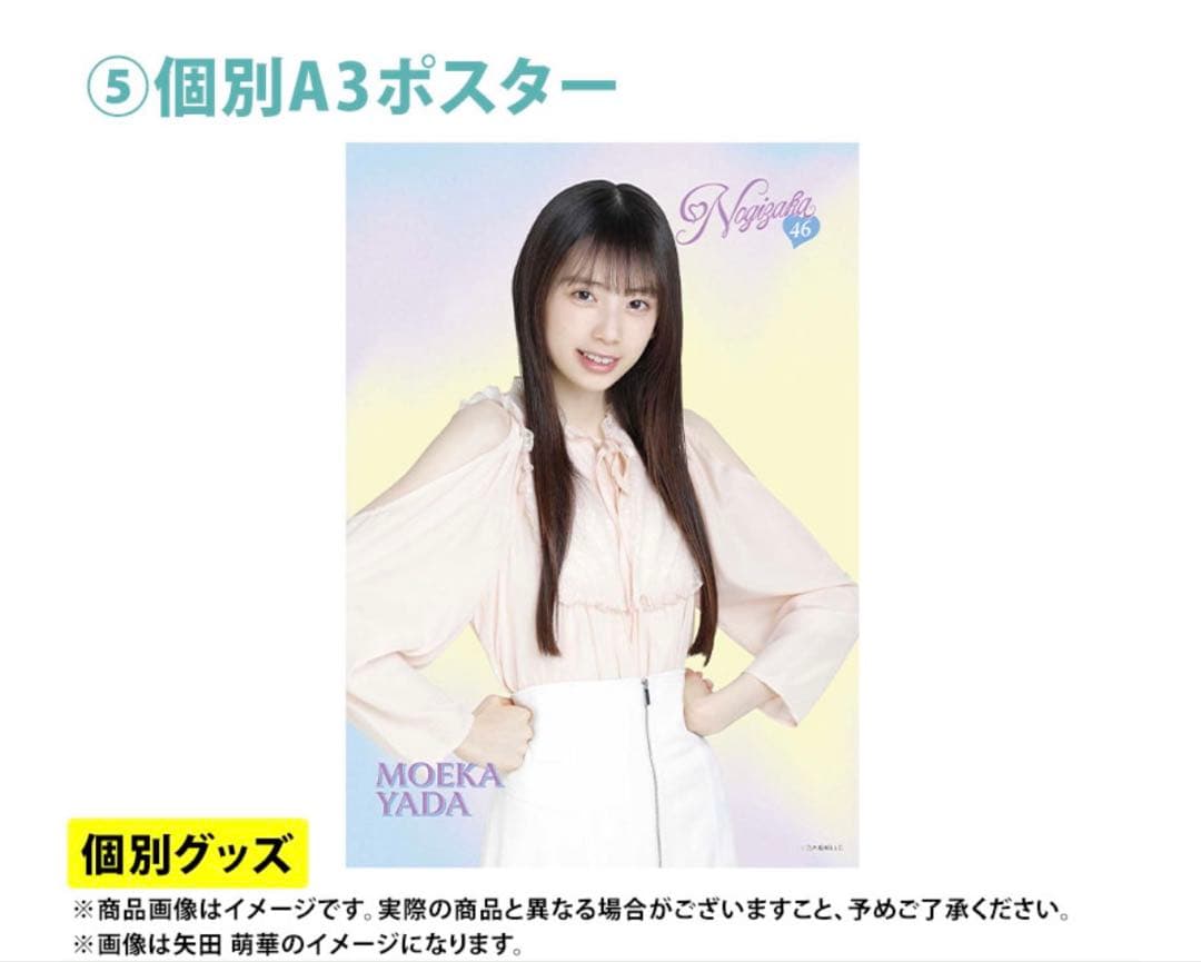 乃木坂46 2026年福袋A B C 19点　井上和