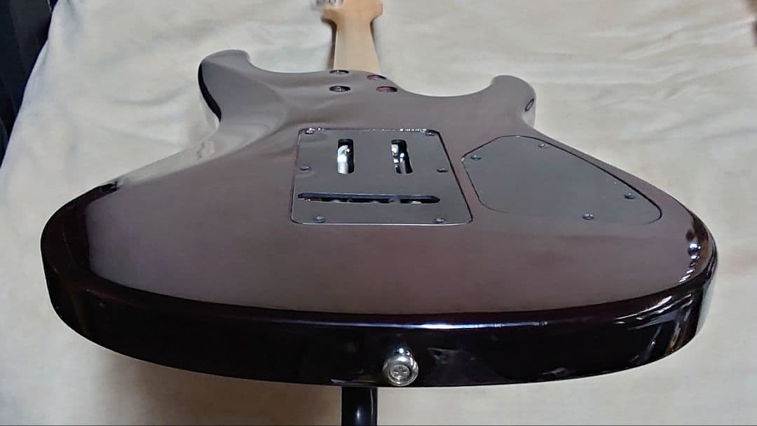 アイバニーズ SAシリーズ レフティ 社外ソフトケース付き