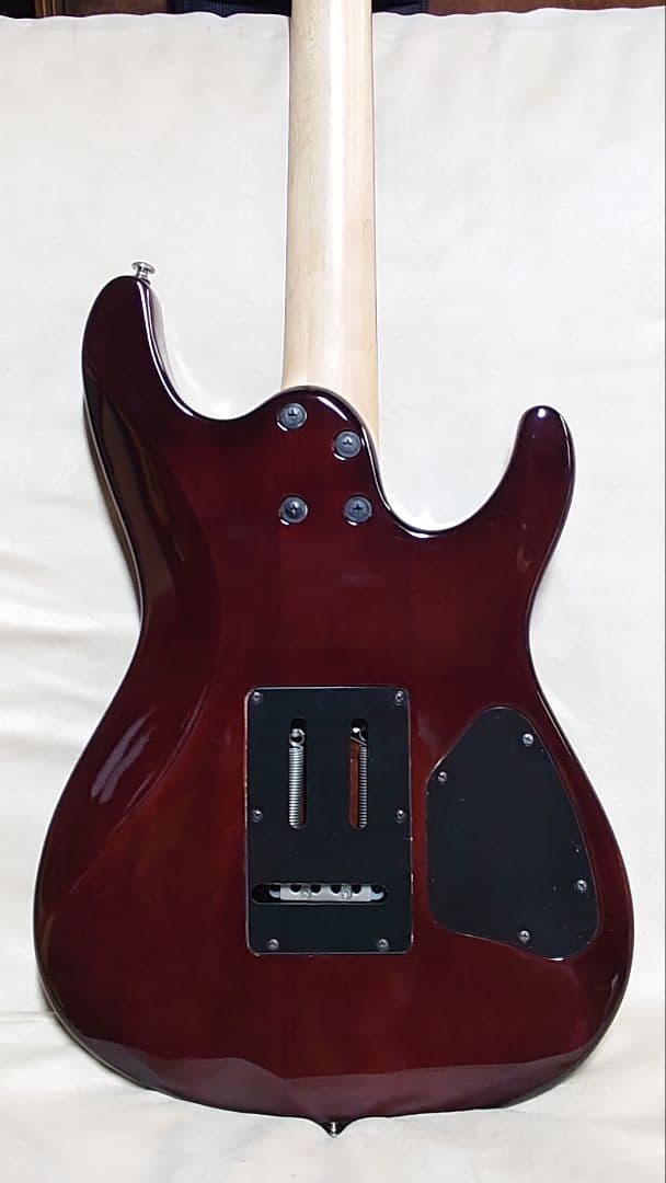 アイバニーズ SAシリーズ レフティ 社外ソフトケース付き