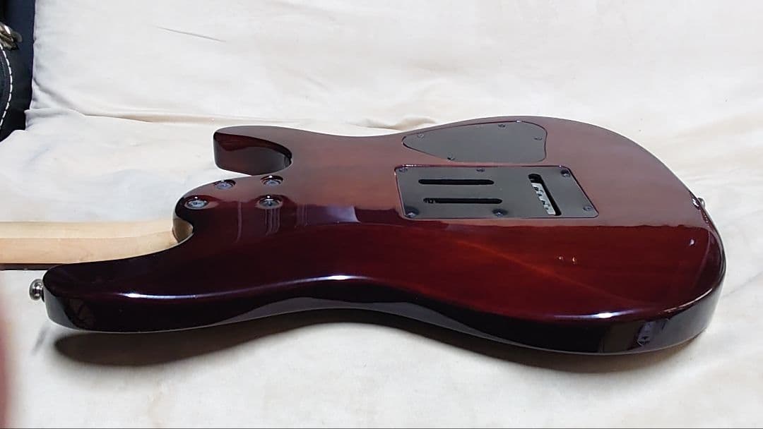 アイバニーズ SAシリーズ レフティ 社外ソフトケース付き