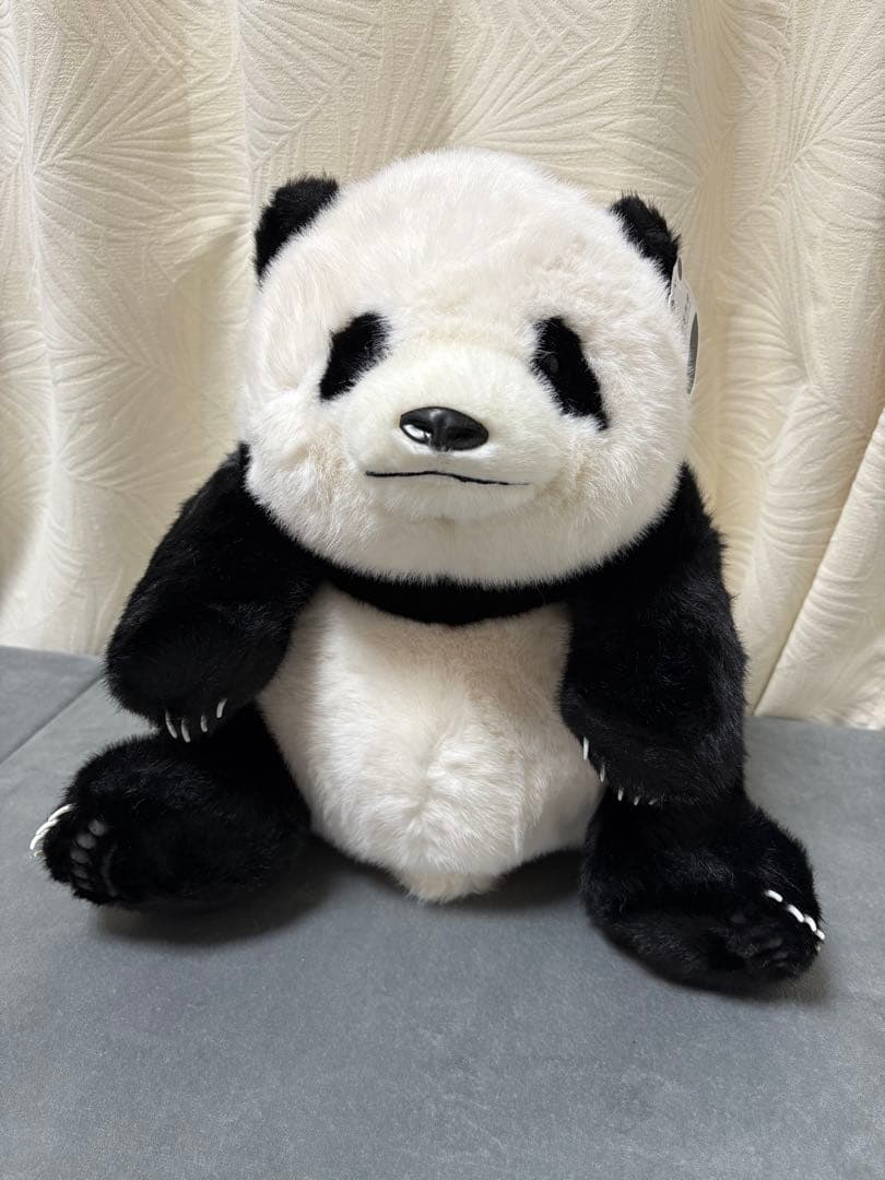 パンダのぬいぐるみ 中型
