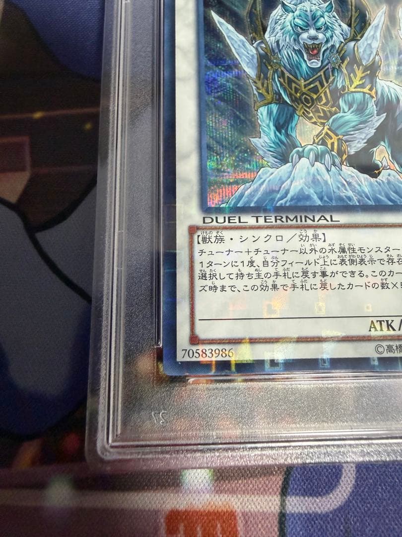 PSA10 氷結界の虎王 ドゥローレン DTC シークレット - メルカリ