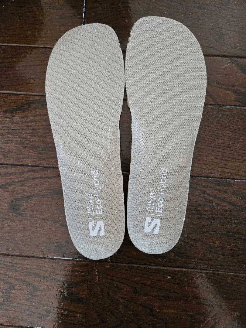 【美品】SALOMON Echo lace SJ BOA 【25.0cm】