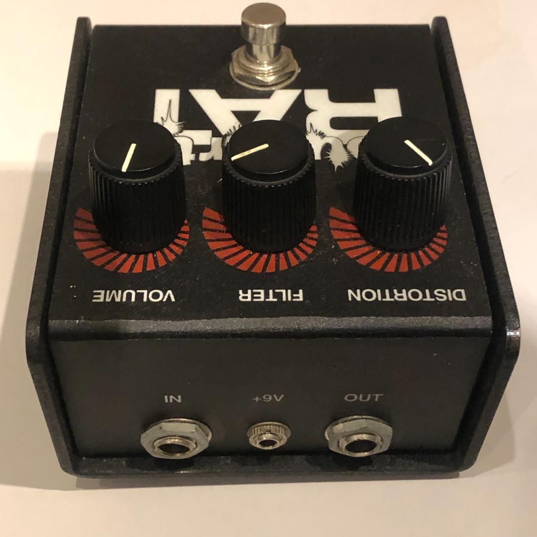 ギター proco / YOU DIRTY RAT