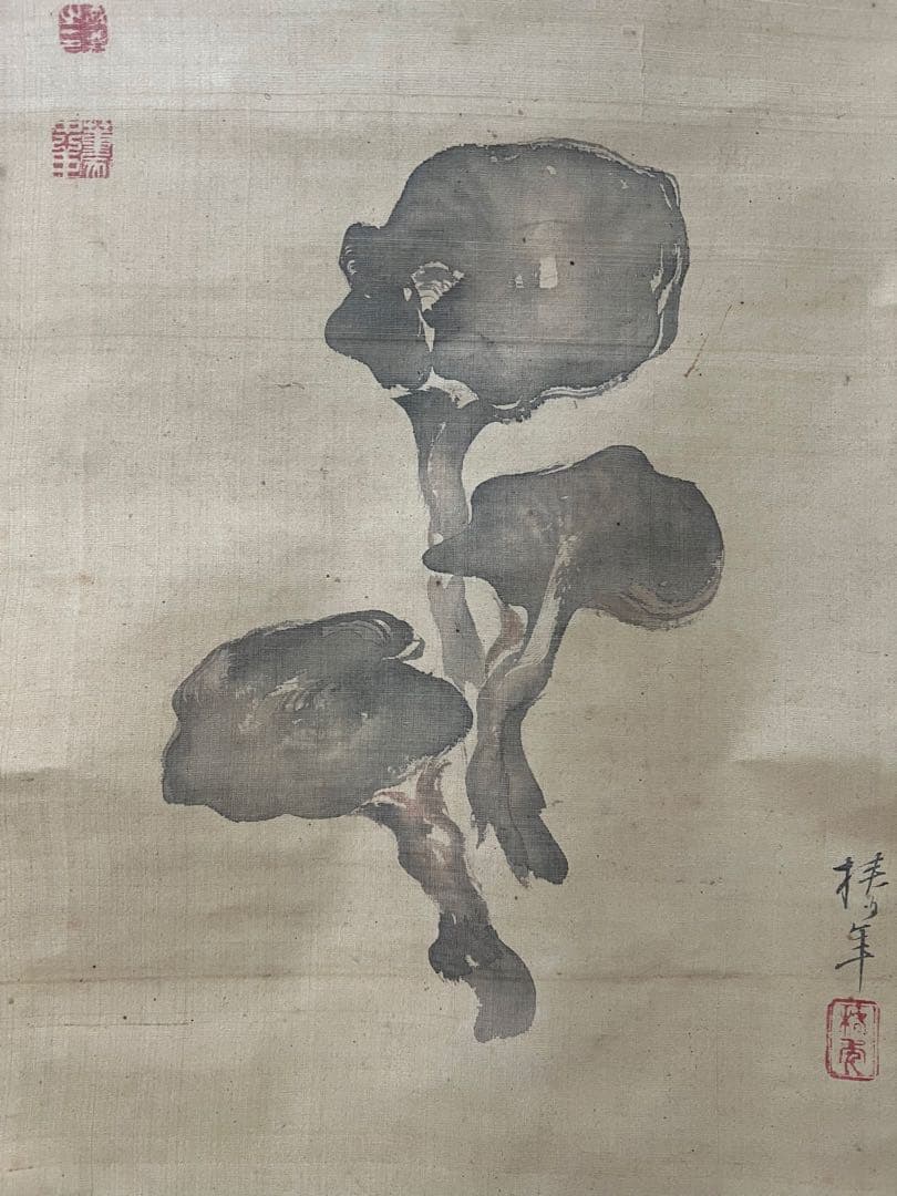 掛け軸 椿年絵／中井董堂（敬義）贊［霊芝之図］絹本 共箱！ - メルカリ