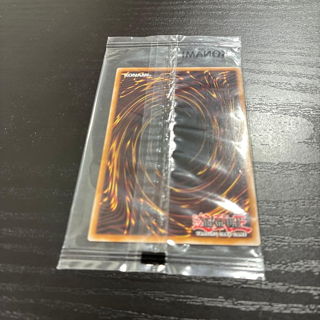 遊戯王　真紅眼の黒竜　RedEyesBlackDragon シークレットレア1枚