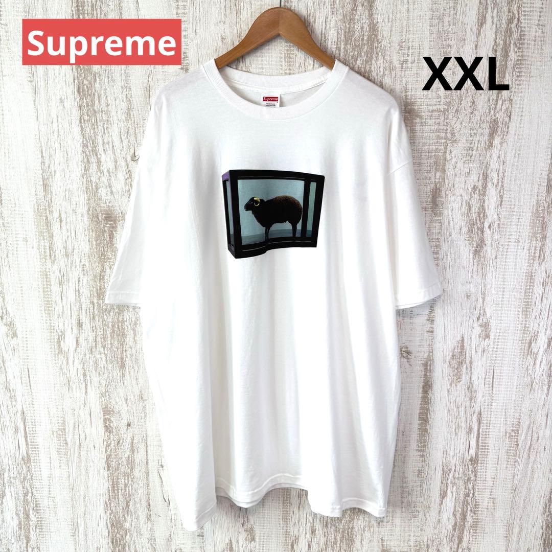 新品未使用 シュプリーム ダミアンハースト 羊 グラフィック プリント