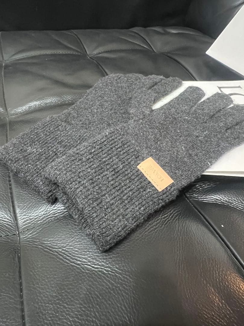 国内正規品 LOEWE ハンドウォーマー 国内正規品 LOEWE ハンド