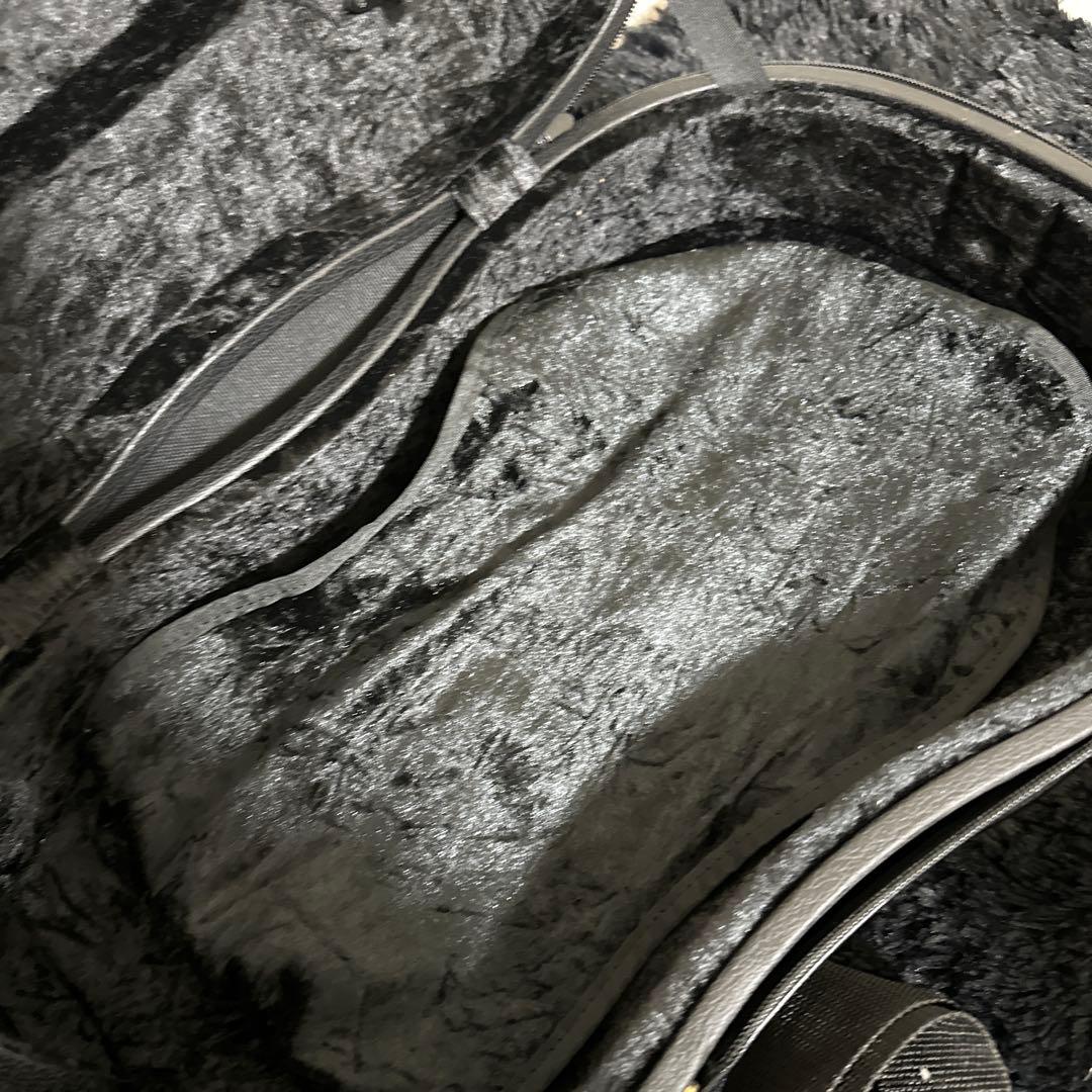 レア! Galax ビオラ用 セミハードケース 弦楽器 黒 - メルカリ