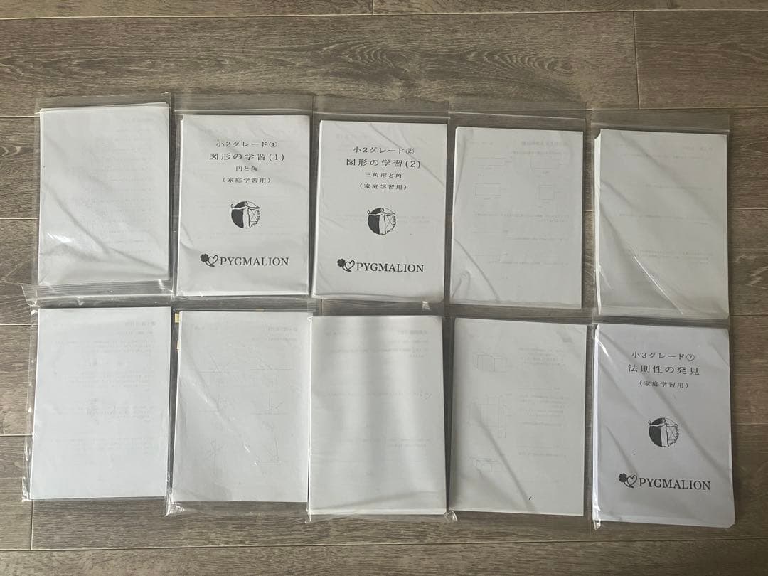 美品・袋入】ピグマリオン グレード別10冊セット 図形の学習 分数 整数