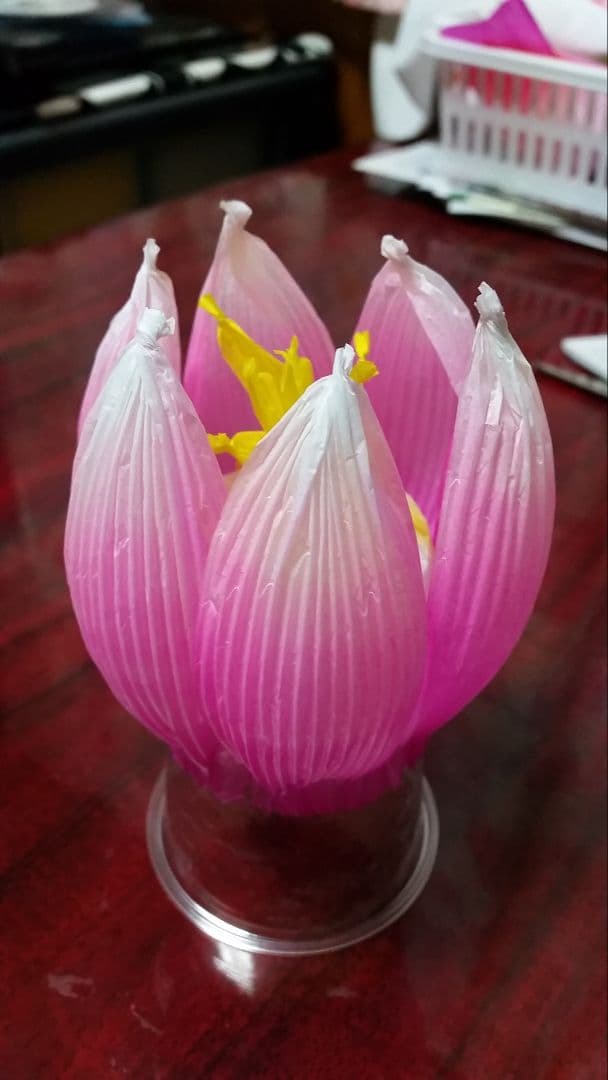 アインさま専用