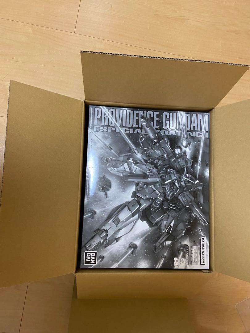 MGプロヴィデンスガンダム & シナンジュ スペシャルコーティング　RGアカツキ