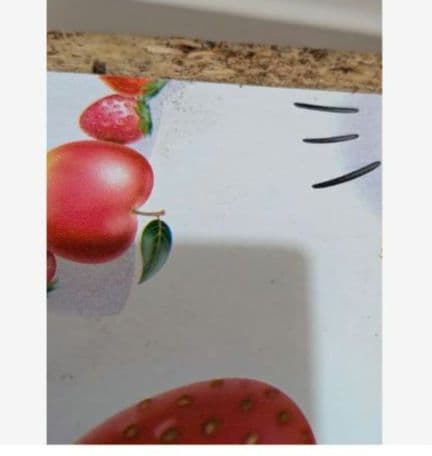 激レア！ハローキティ　フリーボックス　フルーツ柄　2002年 　サンリオ