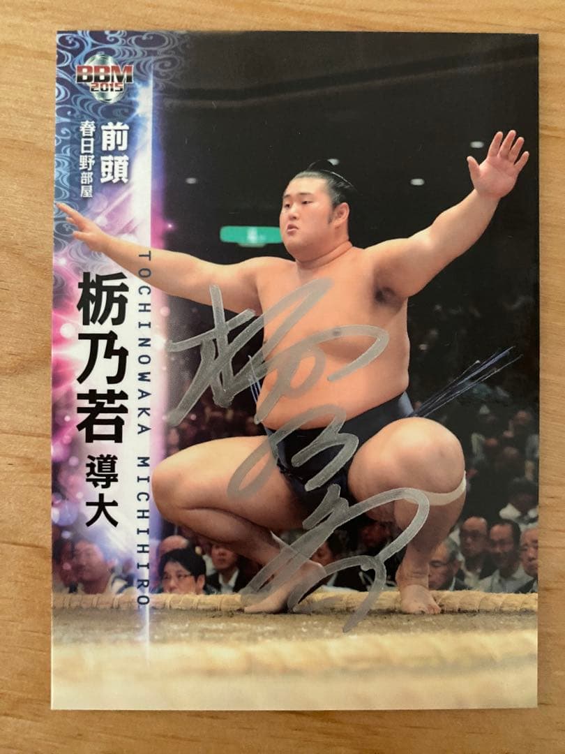 直筆】大相撲 栃乃若 サインカード BBM - メルカリ