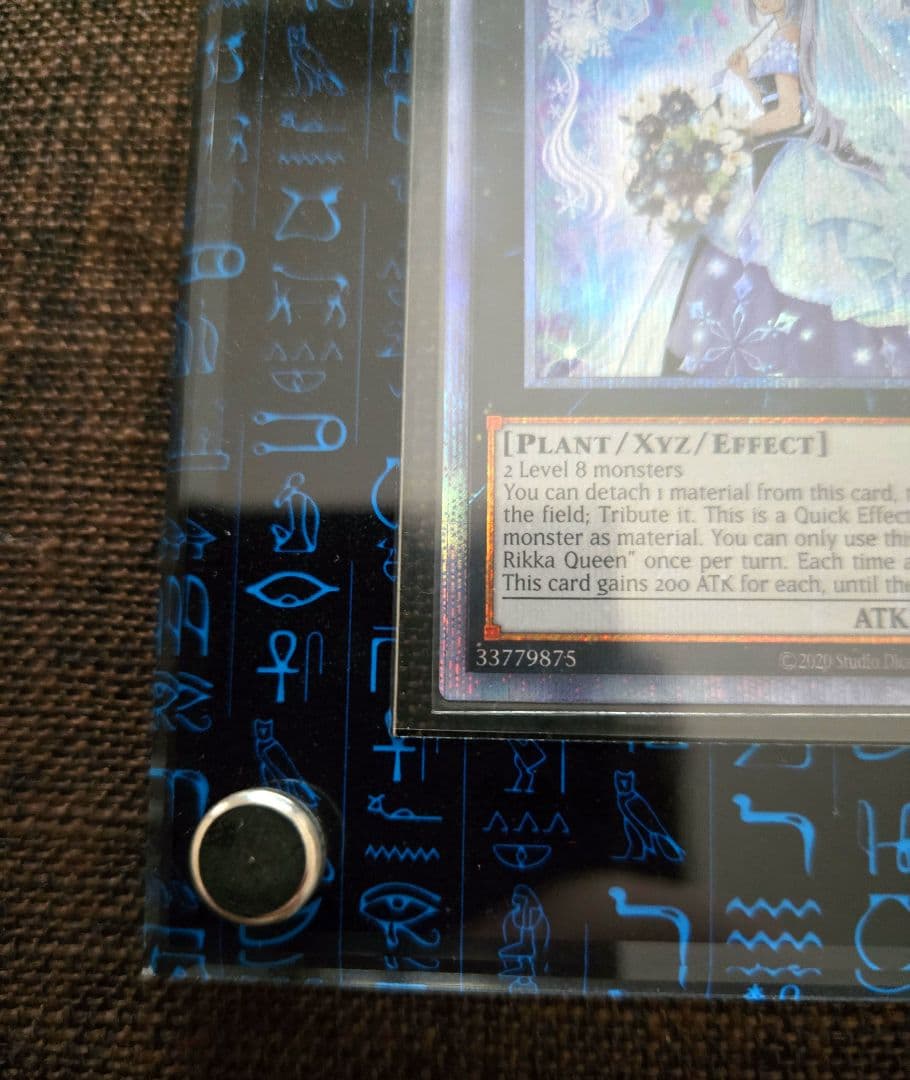 遊戯王 泰亜版 英語アジア 六花聖ティアドロップ 25th クオシク