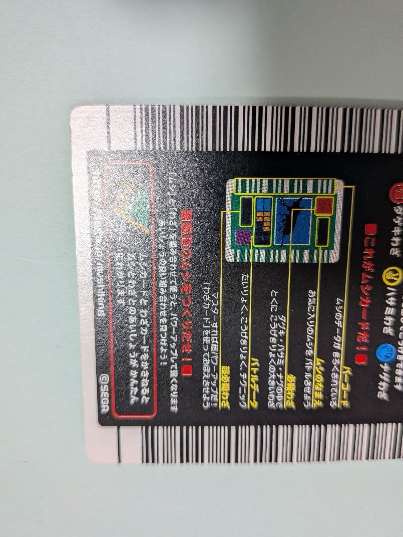 スパス様確認用