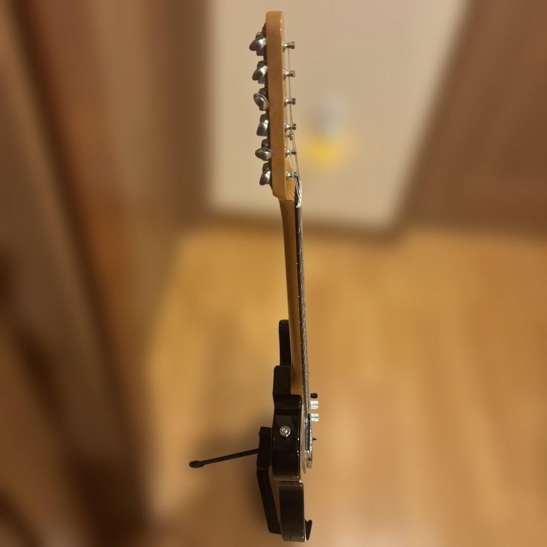 バッカス Bacchus GLOBAL SERIES テレキャスター ケース付