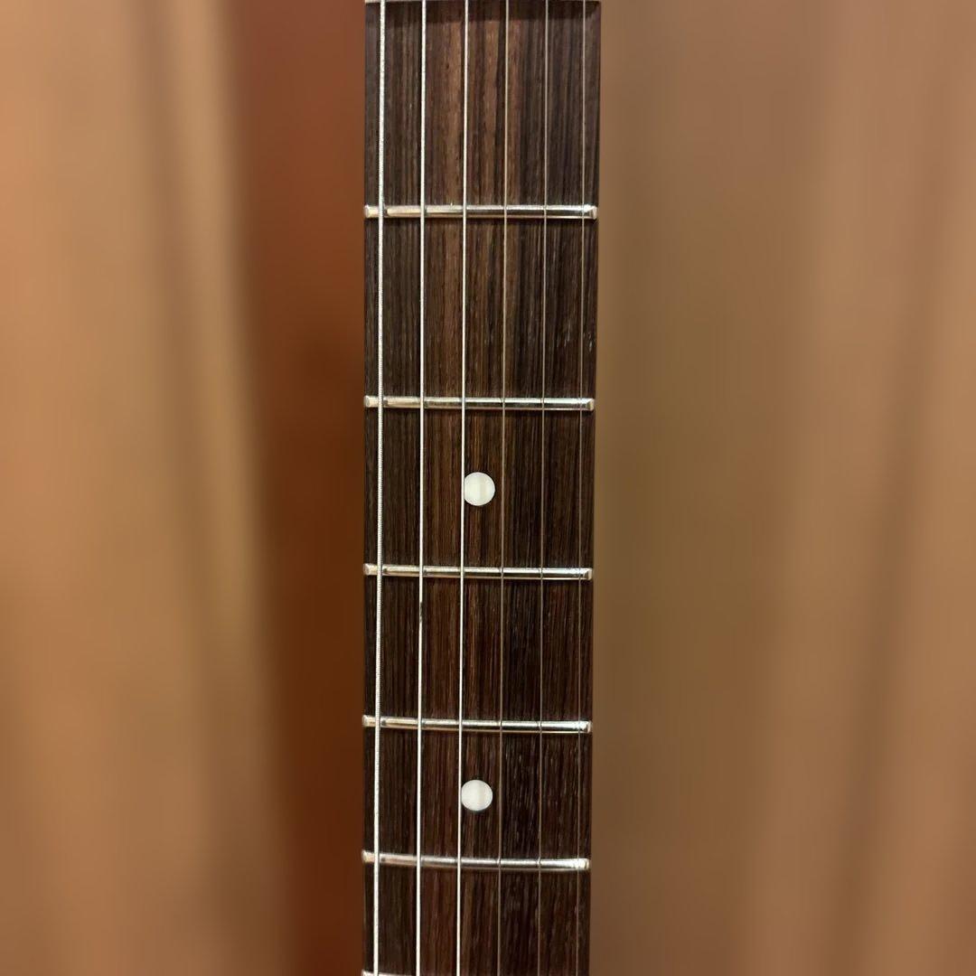 バッカス Bacchus GLOBAL SERIES テレキャスター ケース付