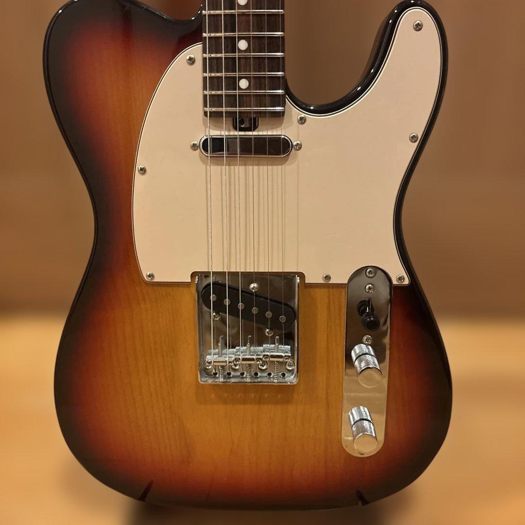 バッカス Bacchus GLOBAL SERIES テレキャスター ケース付