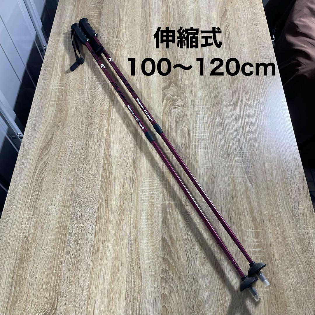 FISCHER150cm ROSSIGNOL24.5cmストック105cmセット - メルカリ