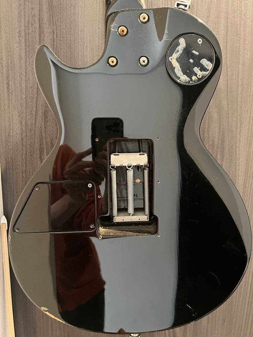 ア*ハ様 Edwards SUGIZOモデル　ブリミクS-Ⅷに改造