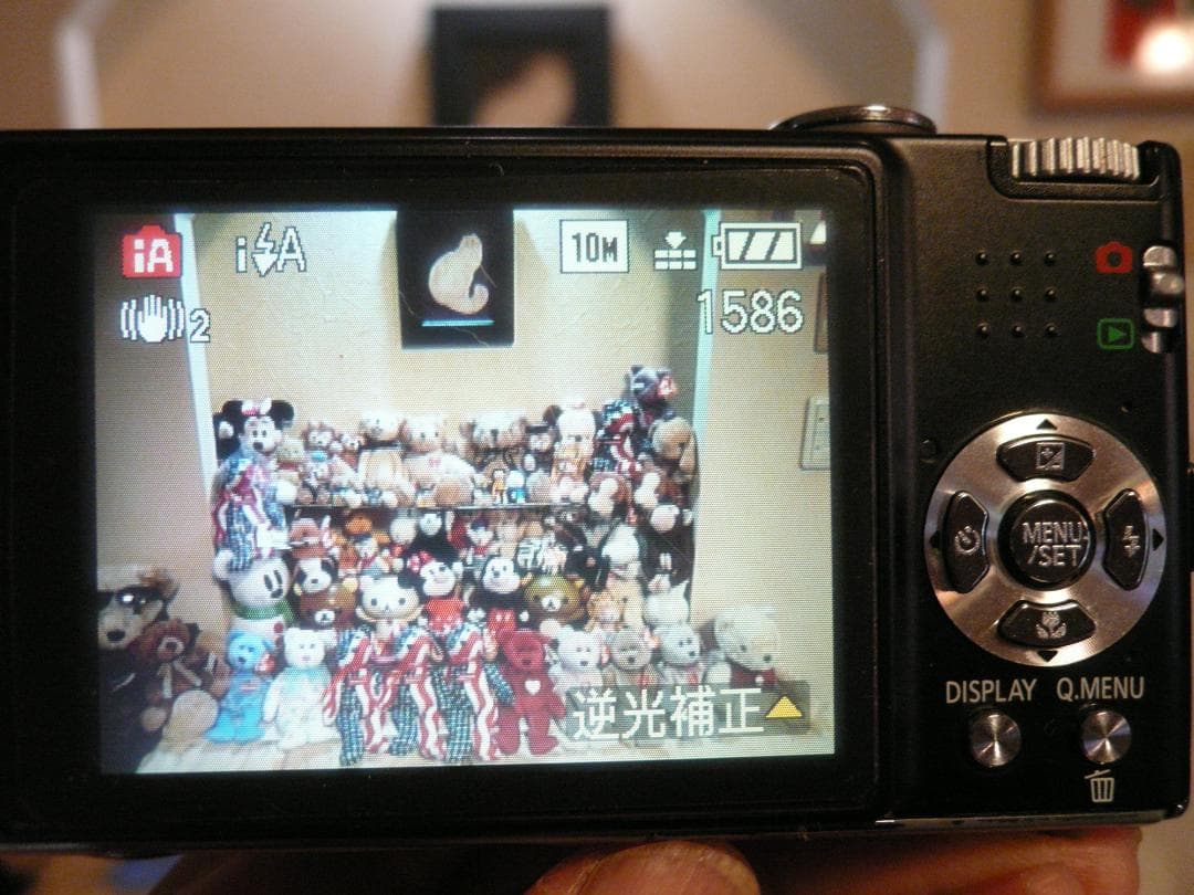 LUMIX☆DMC-FX35⭕️安心の実働品☆光学4倍☆1010万