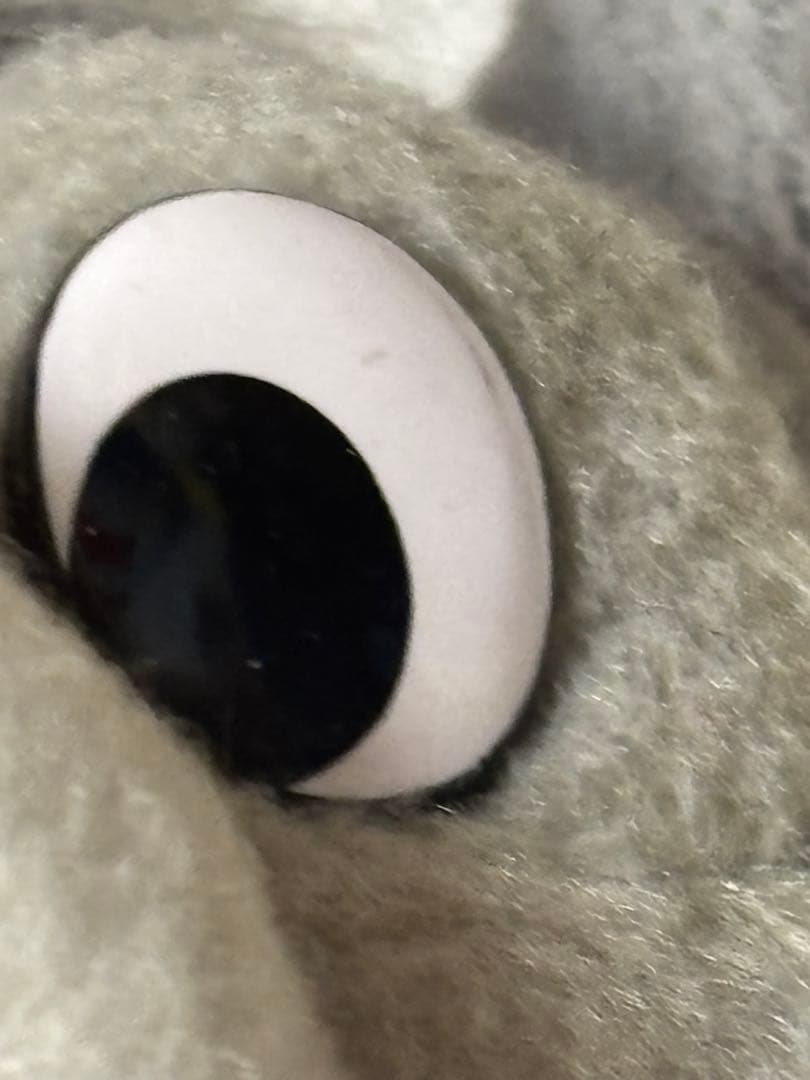 (タグ付き)ディズニー スプラッシュマウンテンうさぎどんぬいぐるみ➕ピンセット