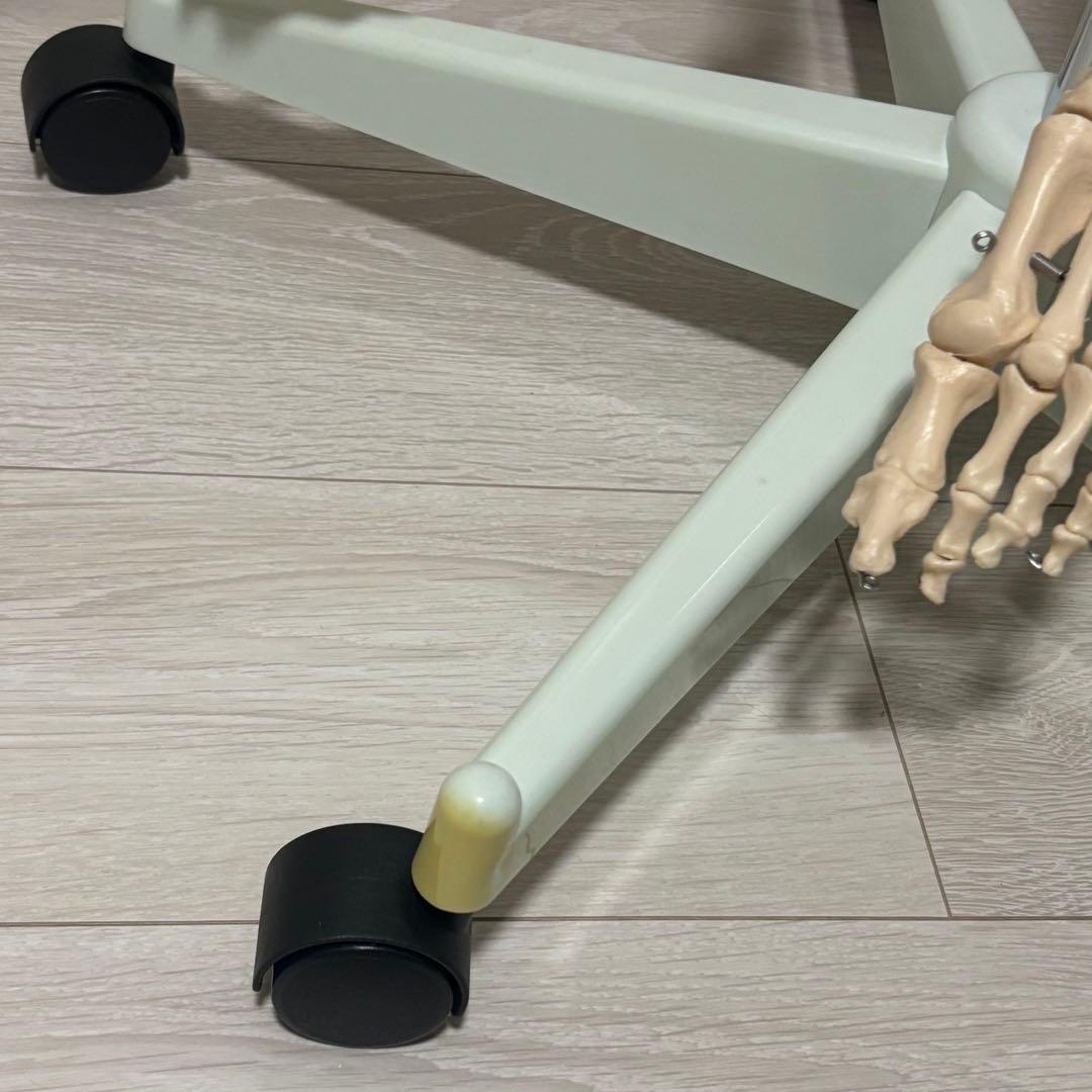 【chii_ricy】等身大 約170cm 骨模型 骨格標本 骨格模型