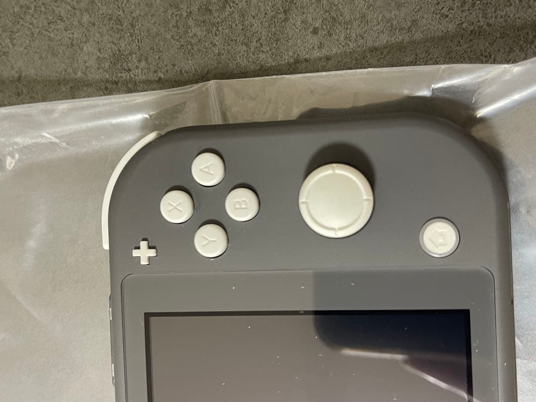 Nintendo Switch Lite グレー 充電器付き ケース付き - メルカリ