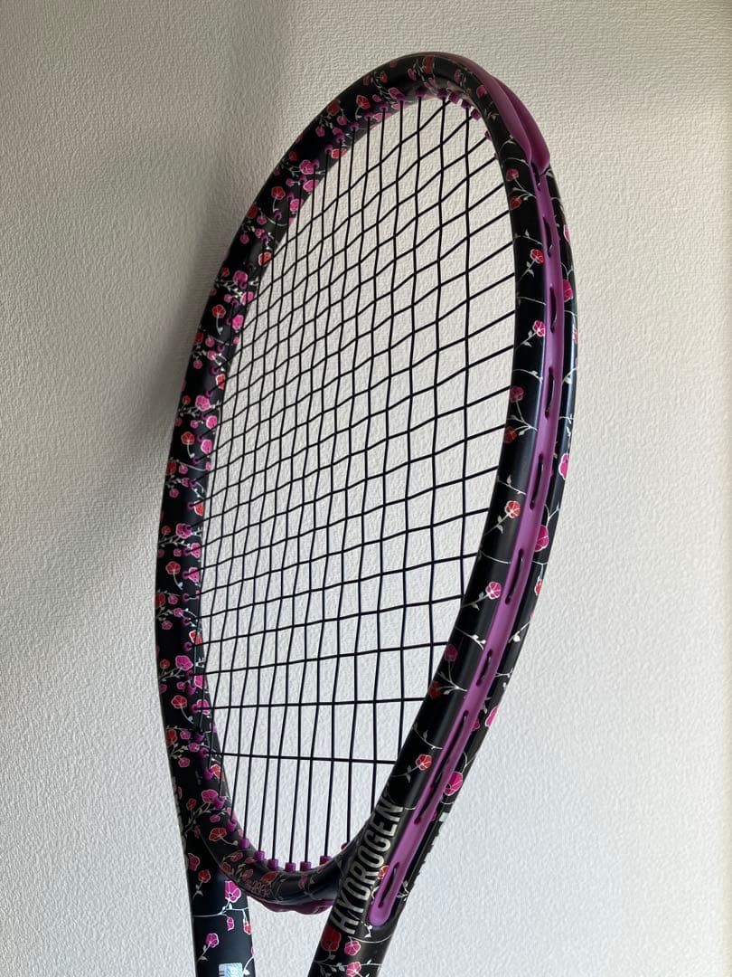 国内正規品 美品限定 プリンス ハイドロゲン ビースト100 レディマリー