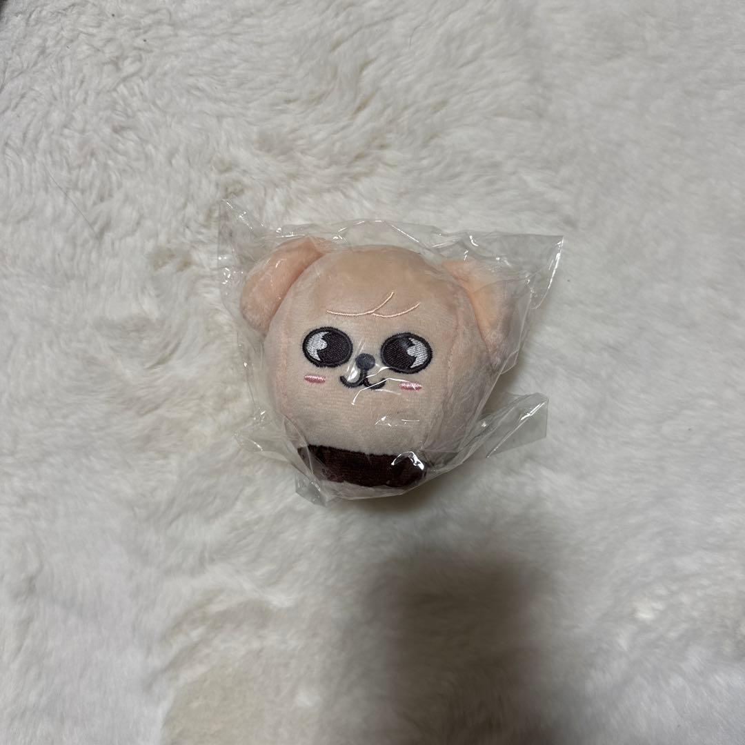 StrayKids スンミン PuppyM 17点 まとめ売り