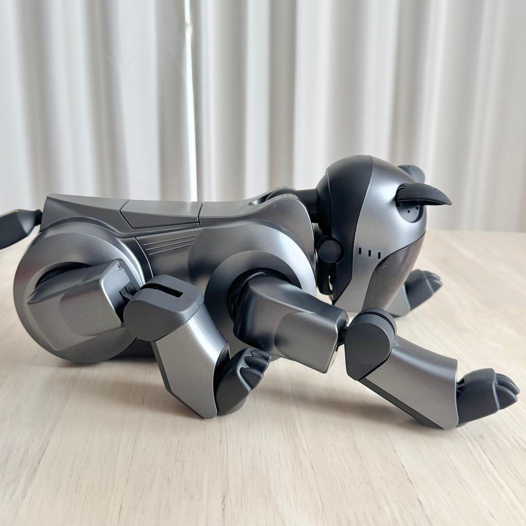 SONY AIBO ERS-210 動作未確認 ジャンク扱い アイボ