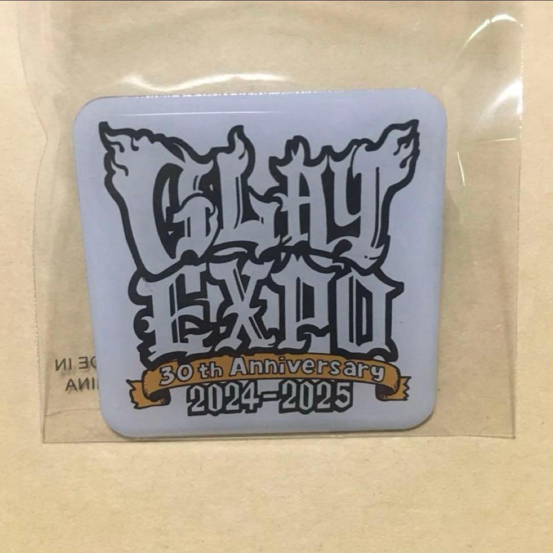 GLAY EXPO 30th Anniversary 2024-2025 ピンズ