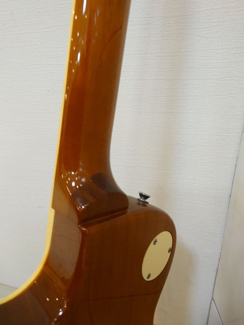 Bacchus バッカス レスポール ギター(ソフトケース付)