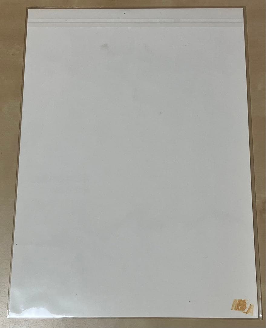 ワンピース 複製原画 書店限定 非売品 エニエスロビー編 - メルカリ