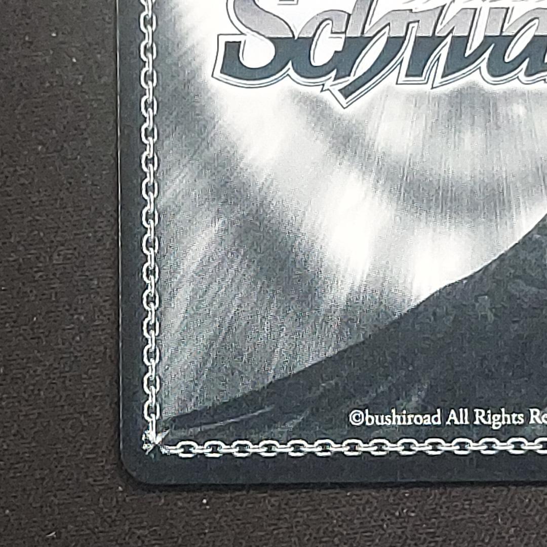 焼き尽くす炎 ナツ SP FT/S120-052SP ヴァイスシュヴァルツ - メルカリ