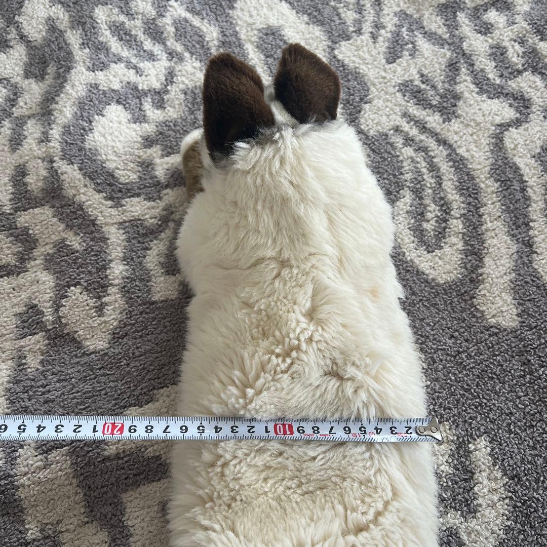 ぬいぐるみ【ケーセン】　ネコ