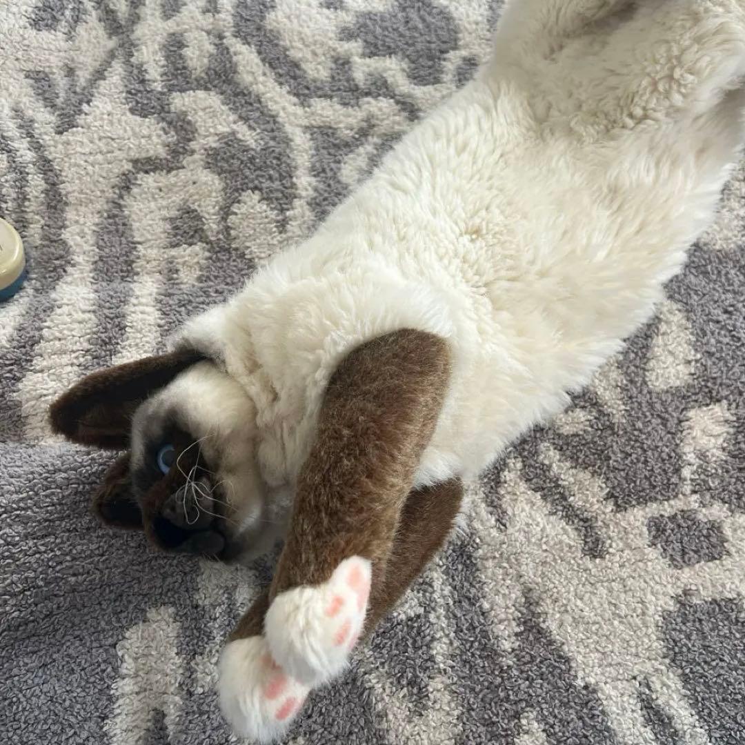 ぬいぐるみ【ケーセン】　ネコ