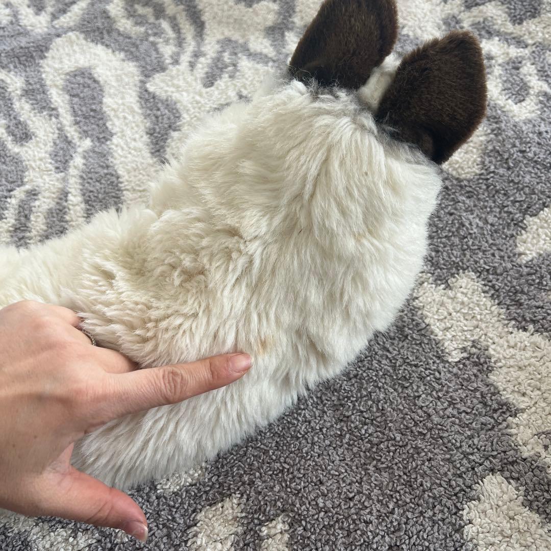 ぬいぐるみ【ケーセン】　ネコ