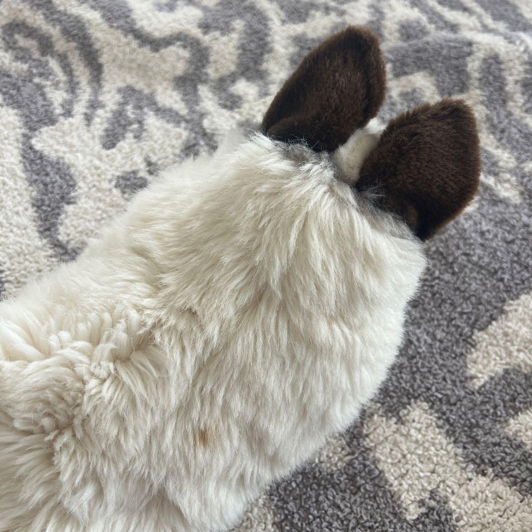 ぬいぐるみ【ケーセン】　ネコ