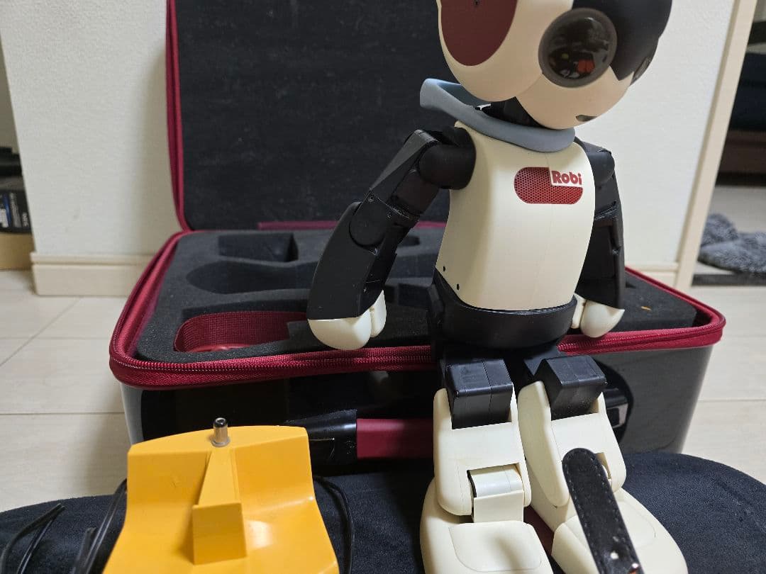 ディアゴスティーニ Robi ロビ フルセット